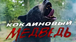 клип на фильм кокаиновый медведь 2023