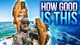 SPEARFISHING MONSTER CORAL TROUT