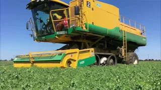 HMC How does a Pea Viner work?