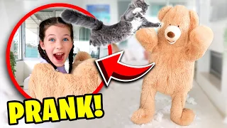 GIANT TEDDY BEAR PRANK ON OUR PETS! The Empire Family