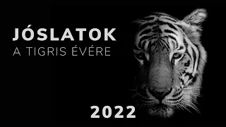 Jóslatok a Tigris évére (2022)
