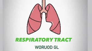 Anatomy of the nose and paranasal sinuses | Anatomy lec.1 part.2 | respiratory tract