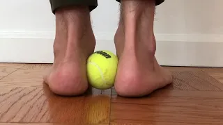 Tendon Neuroplastic Training-Heel Raise