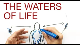 THE WATERS OF LIFE explained by Hans Wilhelm