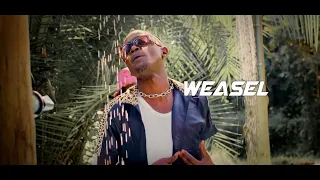 Sure - Radio & Weasel Feat Piz Mallon