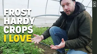 Every Crop I'm Growing This Winter! Cold Hardy And Delicious