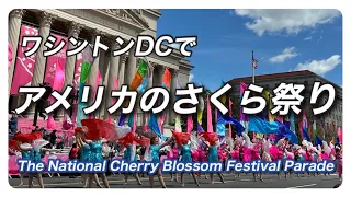 ワシントンDCの桜まつり・パレード・海外の反応・日本感・2024年4月13日 Washington DC Cherry Parade