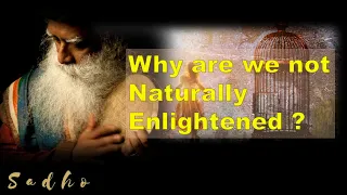 Why are we not Naturally Liberated? | Blake Mycoskie | Sadhguru | Sadho