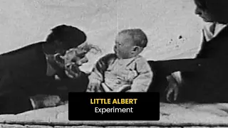 Little Albert Experiment Summary | Little Albert Case Study Psychology Ethical Issues | Online Docs