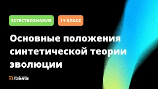 Основные положения синтетической теории эволюции | Естествознание | 11 Класс | Онлайн-школа Синергия