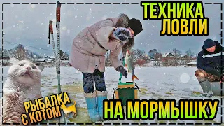 ЗИМНЯЯ РЫБАЛКА В ЯНВАРЕ 2021 С КОТОМ/КАК ЛОВИТЬ НА МОРМЫШКУ/ЗИМНЯЯ РЫБАЛКА НА ОКУНЯ ПЛОТВУ