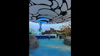 Latest SeaWorld in the World. SeaWorld  Abu Dhabi is the UAE's first marine life theme park.