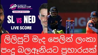 T20 World Cup 2024 live - Sri Lanka Vs Netherlands-  Netherland middle order punish SL bowlers