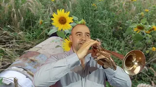 Океан Ельзи – Квіти мінних зон. Trumpet Cover.