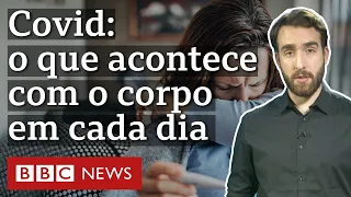 O que acontece com o corpo em cada dia da infecção de covid