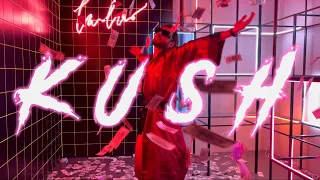 MR.GINZBURG — KUSH (Mood video)