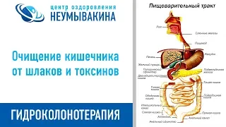 Гидроколонотерапия - главная процедура в методике профессора Неумывакина И.П.!