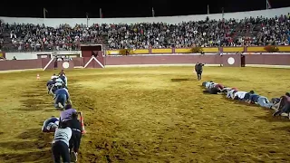 Men Participate in Crawling Race Across Bullfighting Arena - 988572