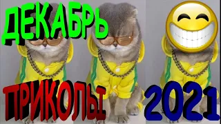 ПРИКОЛЫ 2021 САМЫЕ НОВЫЕ!!!!СМОТРЕТЬ ПРИКОЛЫ 2021!!!#22