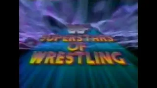 WWF Superstars Of Wrestling - August 5, 1989