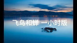 任然《飞鸟和蝉》一小时版 【你骄傲的飞远，我栖息的夏天，听不见的宣言，重复过很多年】