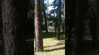 отдых в лесу у реки, турбаза  экспресс 🧘🏞️🌲🌳🚣 🔥🔥🔥🔥🔥