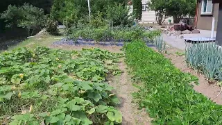 급매 강원도 영월 북면 냇가 대350평건 40평 매 1억 6000만 2차선도로변 방2,욕1,점포1,면소재지 3분거리 영월주공부동산 010-5013-5058