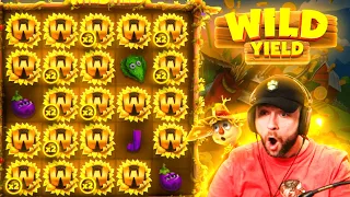 Getting to MAX STAGE on the ALL NEW WILD YIELD slot... SPINS COST HOW MUCH?! (Bonus Buys)