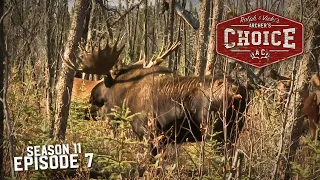 Moose Mania Hits the Yukon - Part 2 - Archer’s Choice (Full Episode)  // S11: Episode 7