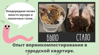 БЕСПЛАТНЫЙ БИОГУМУС - или как организовать верми-ферму