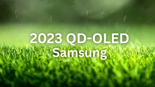 2023 SAMSUNG QD-OLED l 4K HDR - 60 FPS