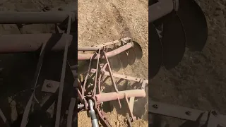 International Harvester 424 Pulling Disc #internationalharvester #farmlife #dirt