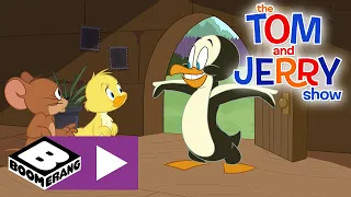 The Tom and Jerry Show | Tuxedo Junction | Boomerang UK