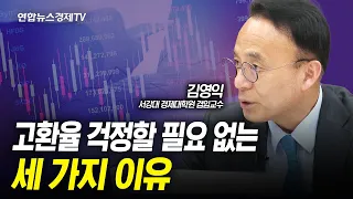 잃는 것보다 얻는게 많다? 환율 걱정 필요없는 '세 가지 이유' (김영익 교수) I 인포맥스라이브 240418