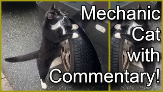 Mechanic Cat with Commentary!