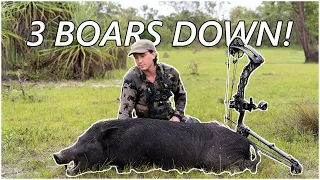 BOWHUNTING BOARS | My BEST day of hunting EVER!