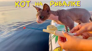 Кот ПЛАВАЕТ за РЫБКОЙ 😻 Кот Миллион