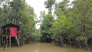 MALAM KE- 2 DI HUTAN RAWA SAAT AIR NAIK DAN SERBUAN KAWANAN BERPATIL BESAR MENGHANTAM RAWAI