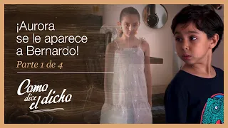 Como dice el dicho 1/4: Bernardo descubre el alma en pena de Aurora | Una mentira...