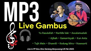 🎧👉 MP3 Gambus terbaik - Full gambus - 👉🎧 Bass and Trable Mantap - Gufron Ali - Gambus Mayami Group