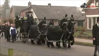 Een uitvaart met paarden