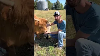 How Much Food Can You Grow on 1 Acre?