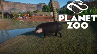 Planet Zoo S1 E14 - Карликовый бегемот