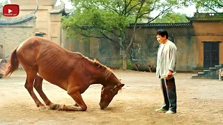 حصان مصاب بيخاطر بحياته عشان يساعد صاحبه اللى رباه انه يسدد ديونه ويثبت له حبه وإخلاصه | ملخص فيلم