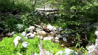 May 17th 2015 Hike to Heart Rock in Crestline, Ca(13)