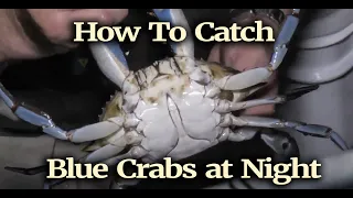 How To Catch Blue Crabs at Night