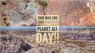 Your Complete Travel Guide to Petrified Forest National Park & The Painted Desert -  Natural Wonder!
