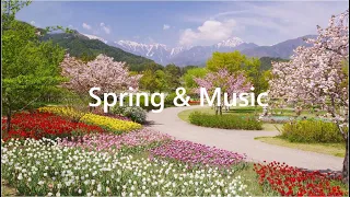 봄 힐링 영상#봄이왔어요#봄꽃#꽃영상#예쁜꽃#Spring#Healing#March#April#궁전#튤립#벗꽃#백일홍