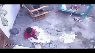 Cat Saves Toddler From Falling