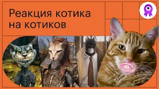 Топ-10 котиков в видеоиграх: Skyrim, Postal, Undertale, Monster Hunter